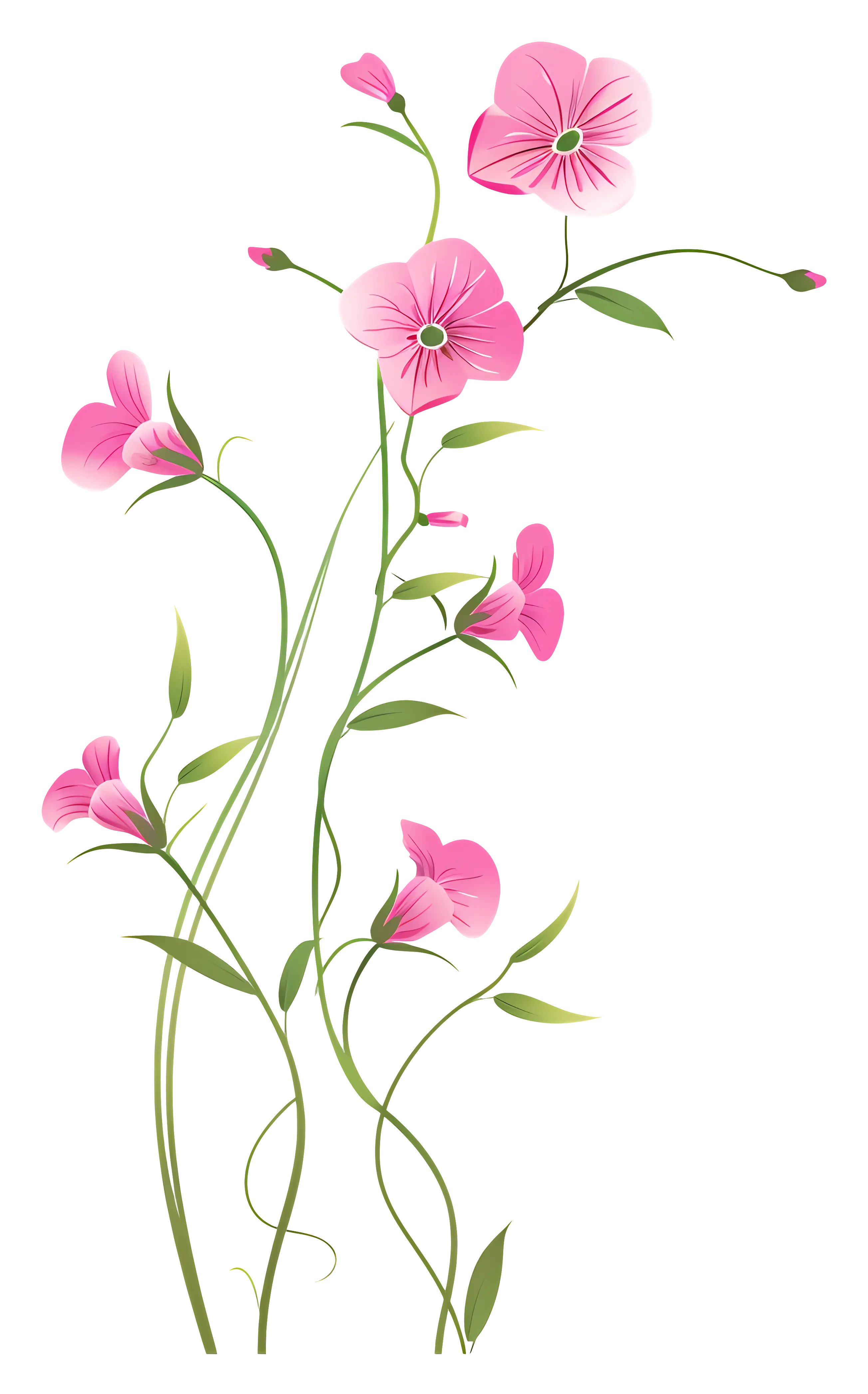 Pink Flowers with Green Stems in Nature Illustration