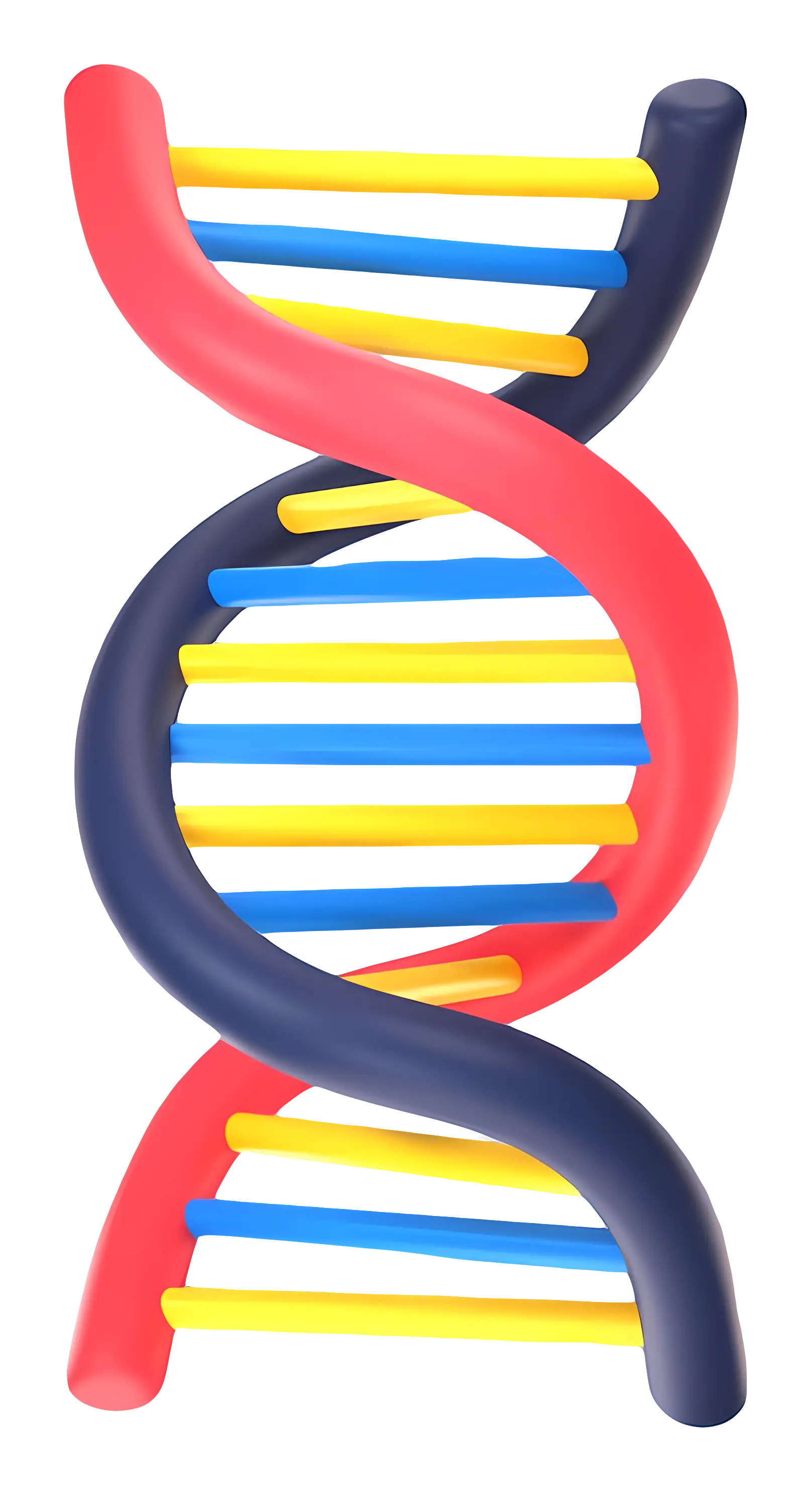 Colorful DNA Helix Illustration