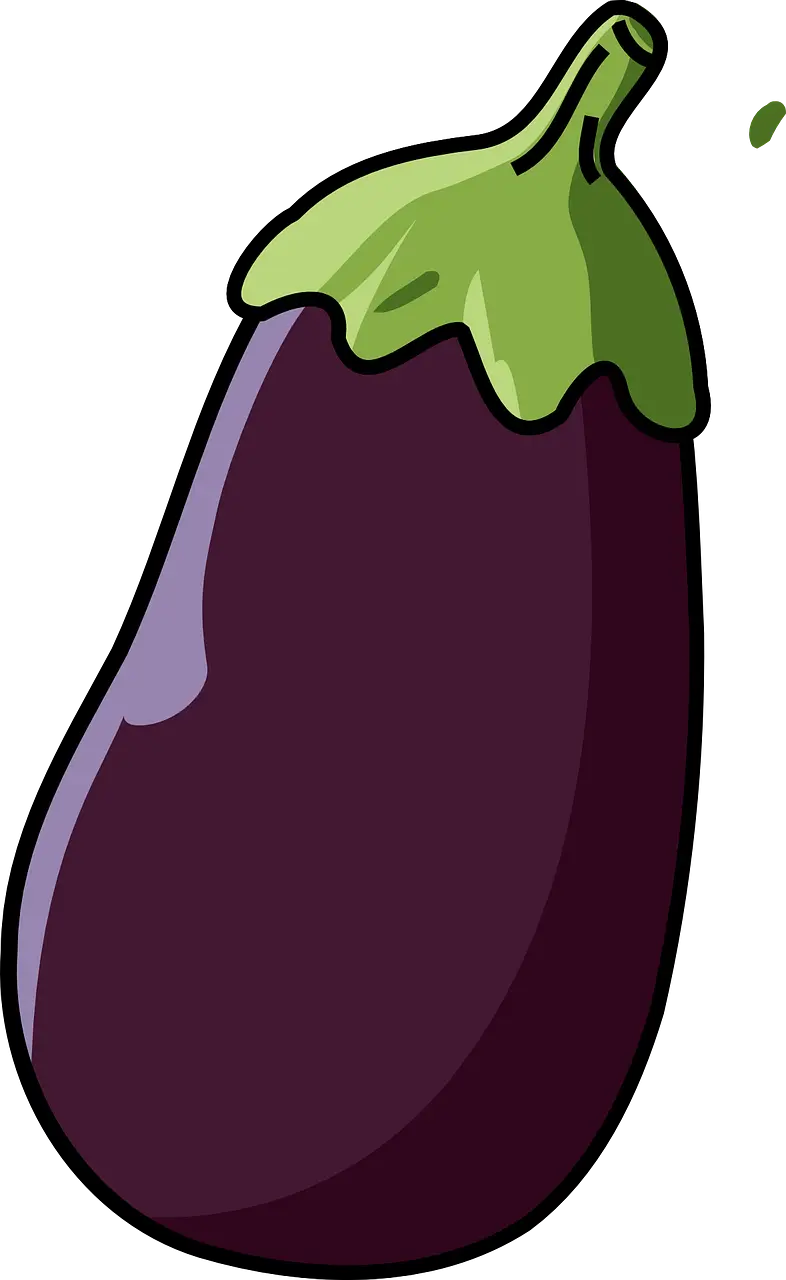Eggplant Illustration with Green Stem