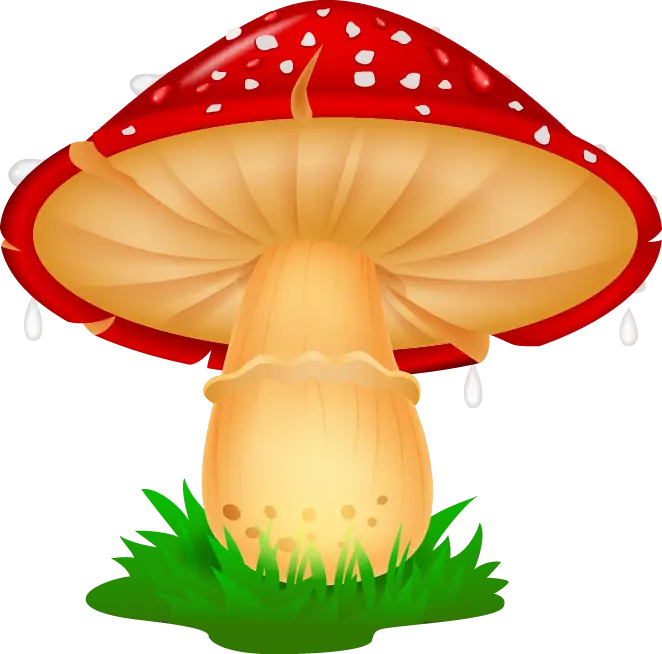 Red and White Mushroom Illustration on Grass