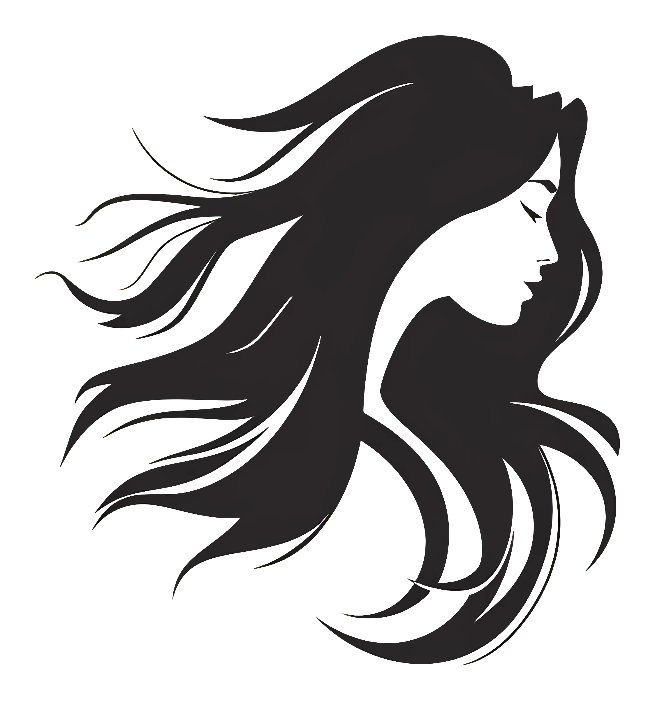 Elegant Silhouette of Woman with Flowing Hair