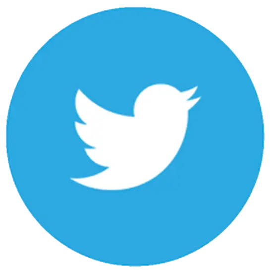Blue Twitter Logo in Circular Icon