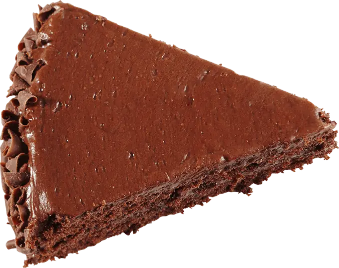 Chocolate Cake Slice with Frosting