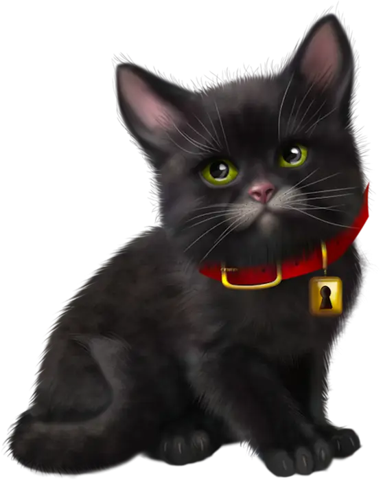Cute Black Kitten with Red Collar