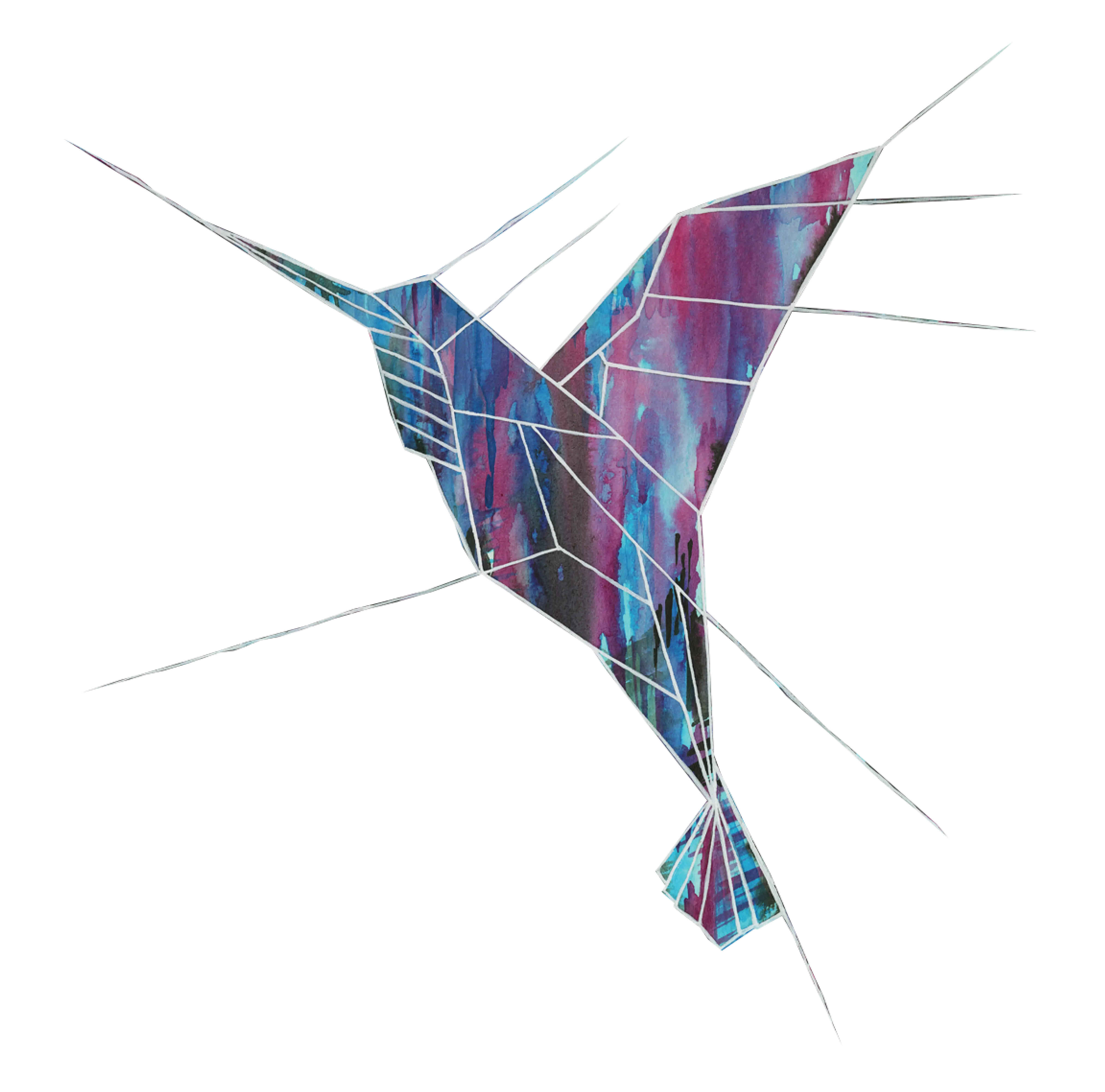 Colorful Hummingbird Illustration