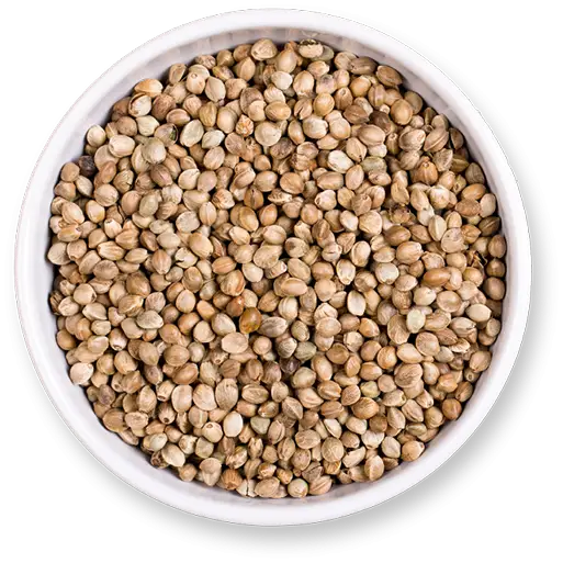Bowl of Hemp Seeds