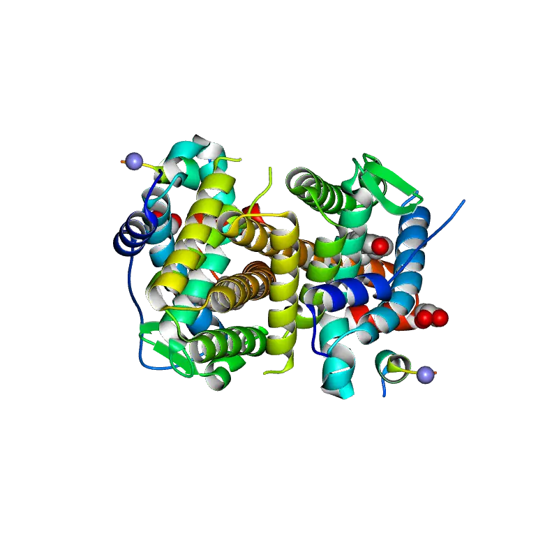 Colorful Protein Structure Diagram Representation