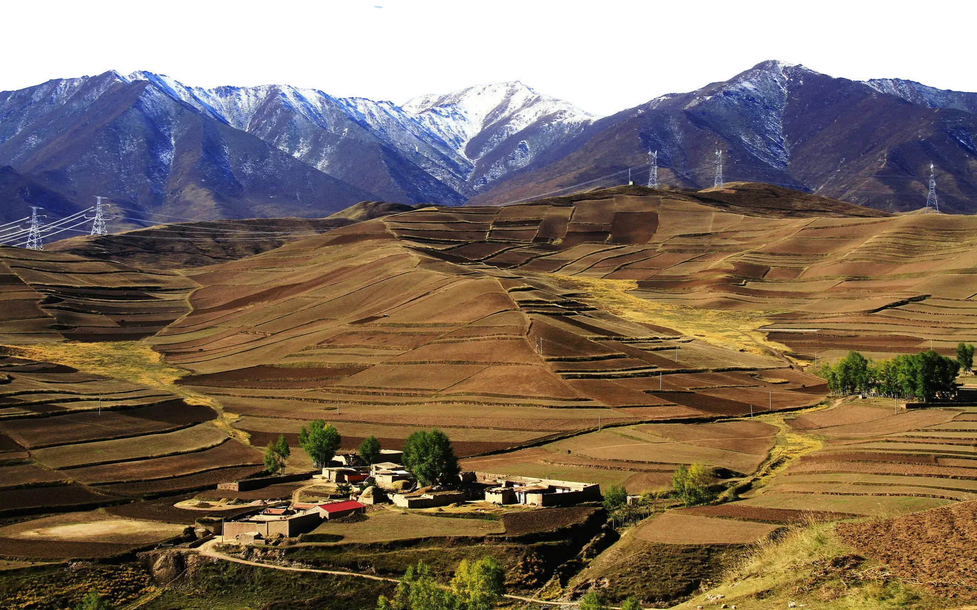 Mountain Village with Fields and Snowy Peaks