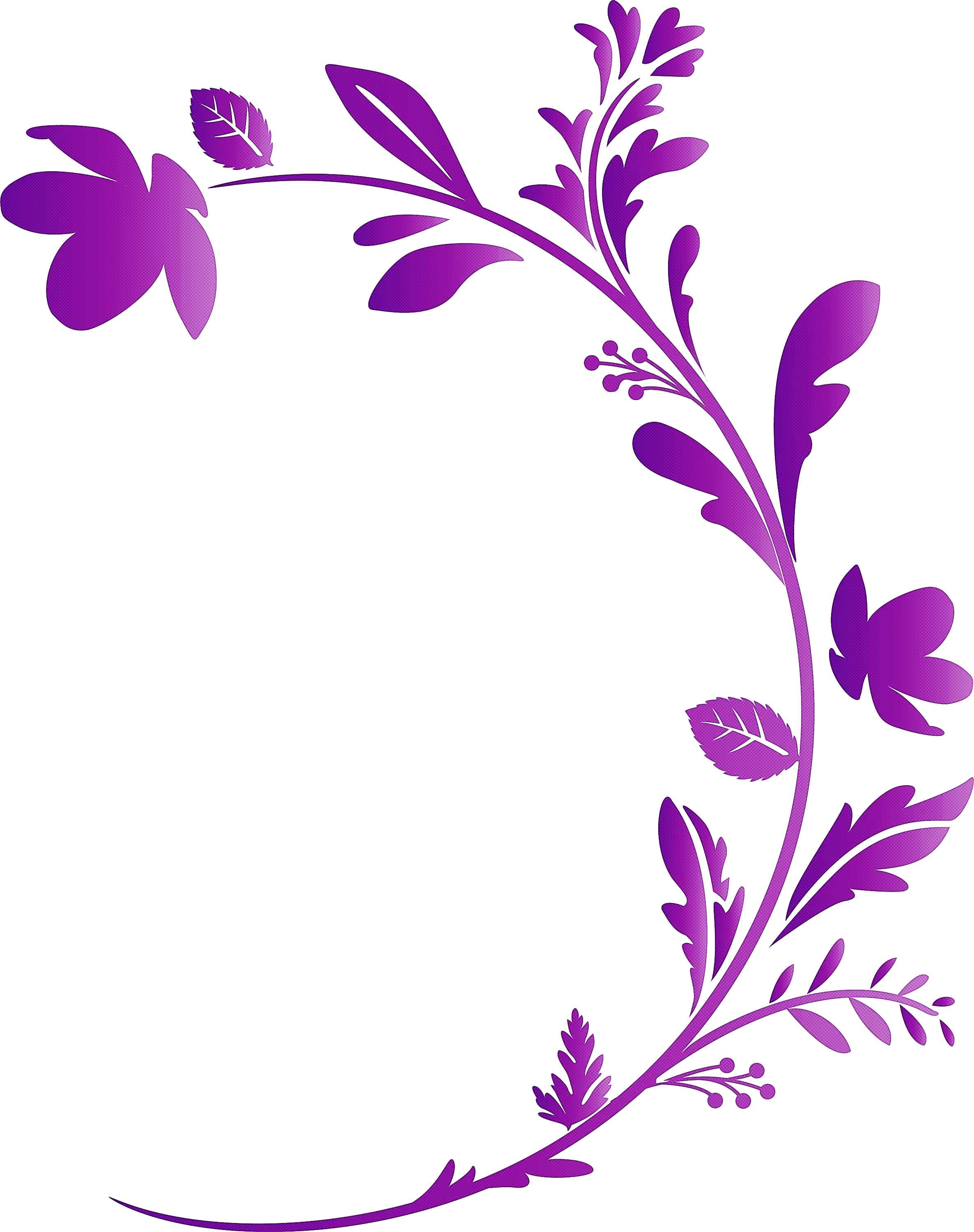Elegant Purple Floral Border Design
