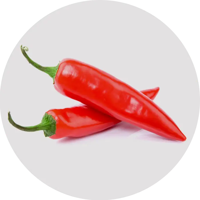 Red Chili Peppers on Neutral Background