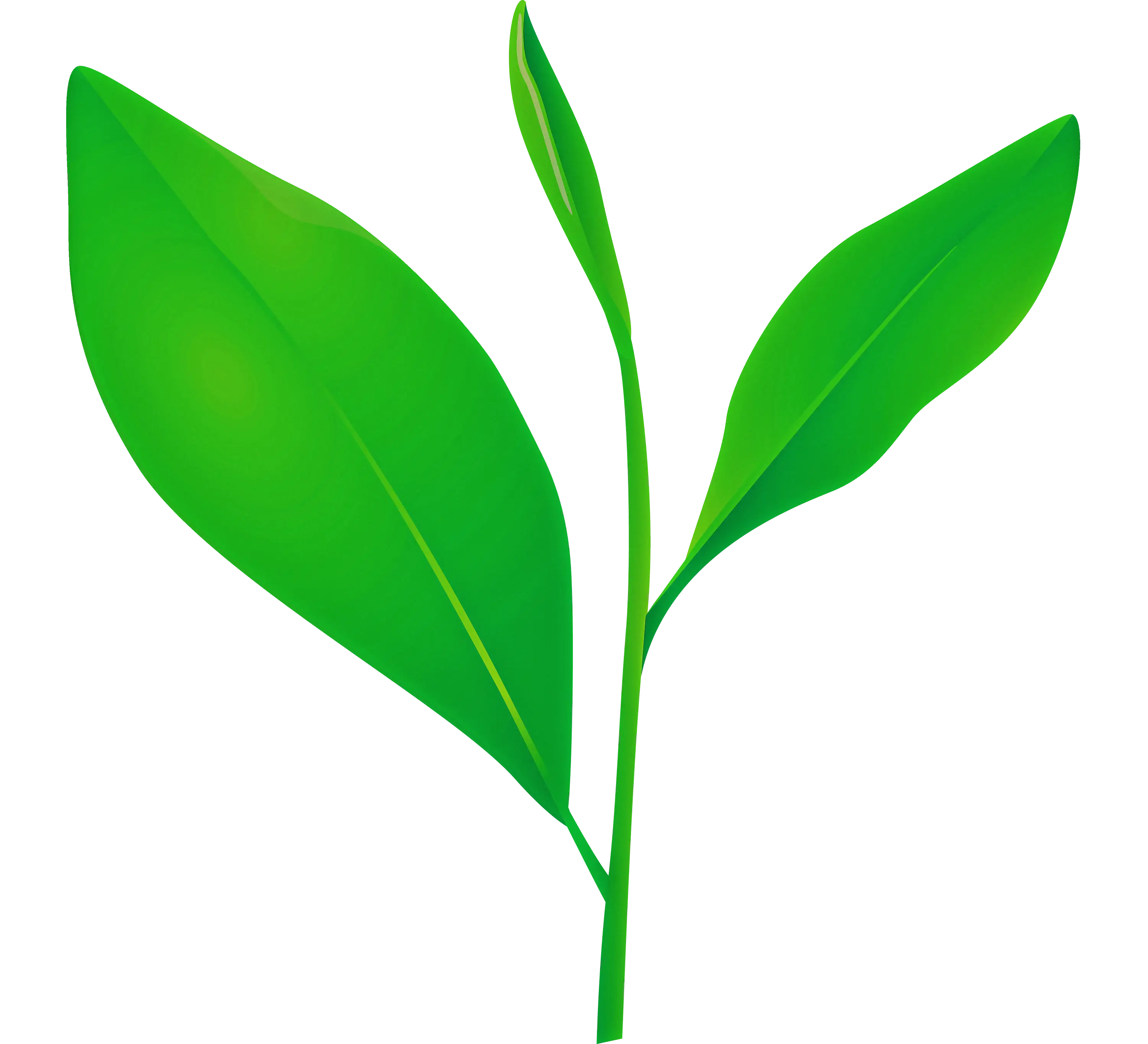Green Sprout Illustration