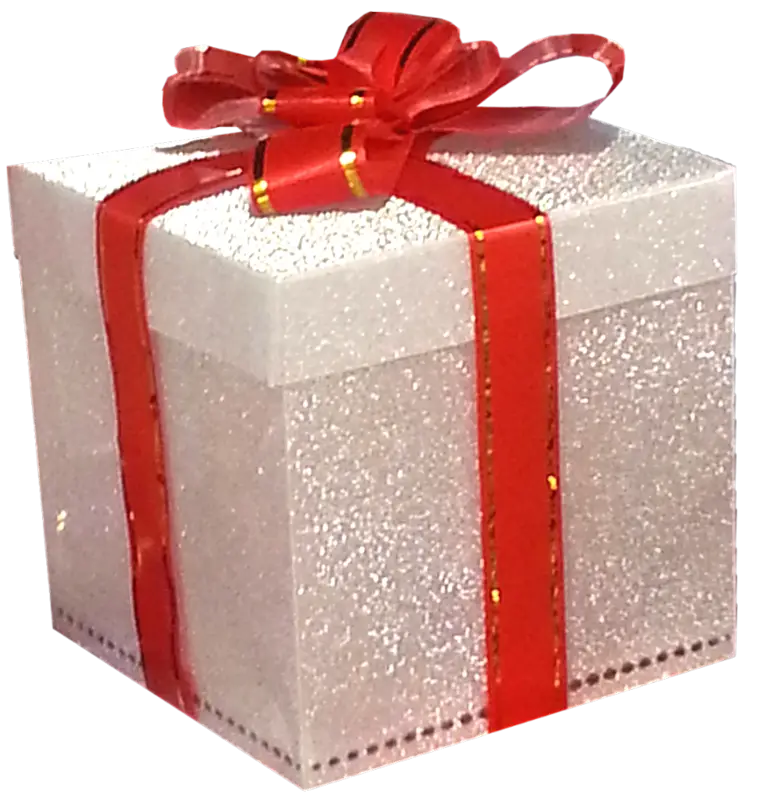 Shiny Gift Box with Red Ribbon