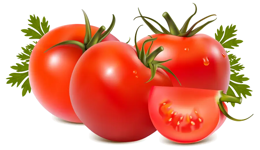 Fresh Ripe Tomatoes with a Slice