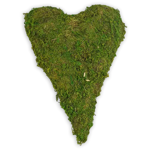 Heart Shaped Moss for Natural Decor