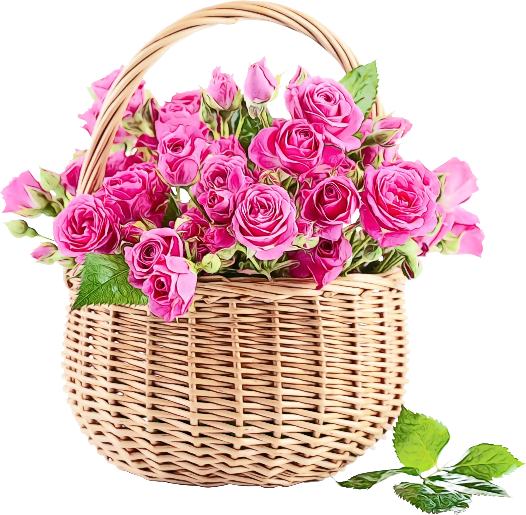 Beautiful Pink Rose Basket for Love