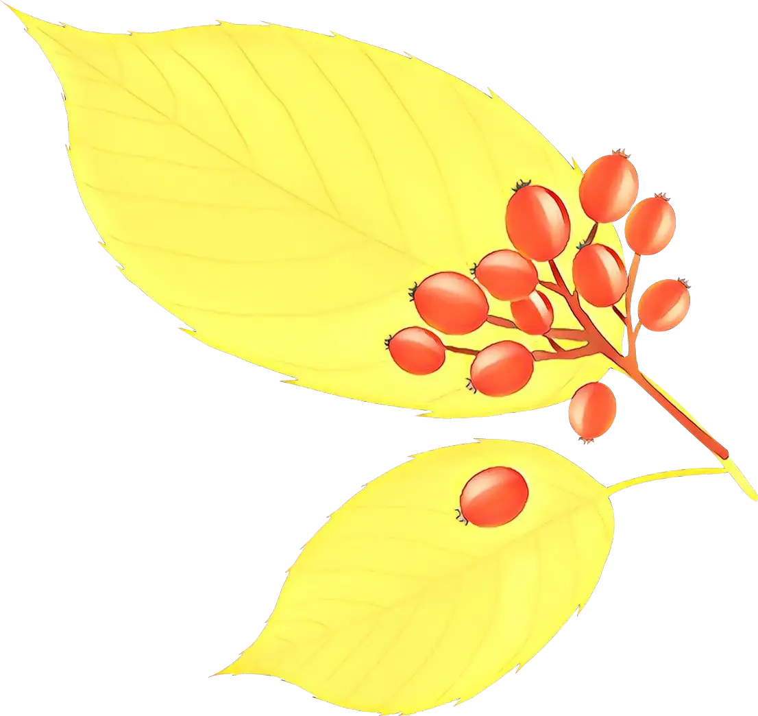 Autumn Yellow Leaves with Red Berries Illustration
