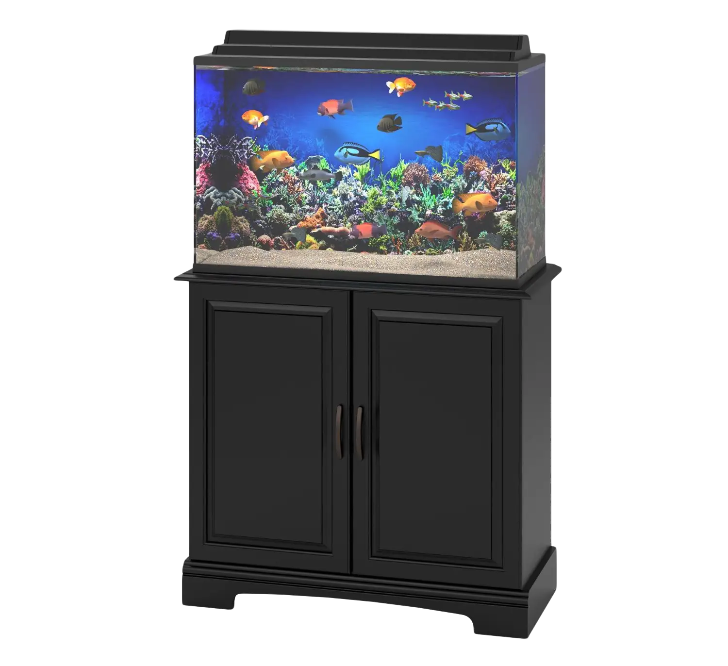 Colorful Fish in Aquarium