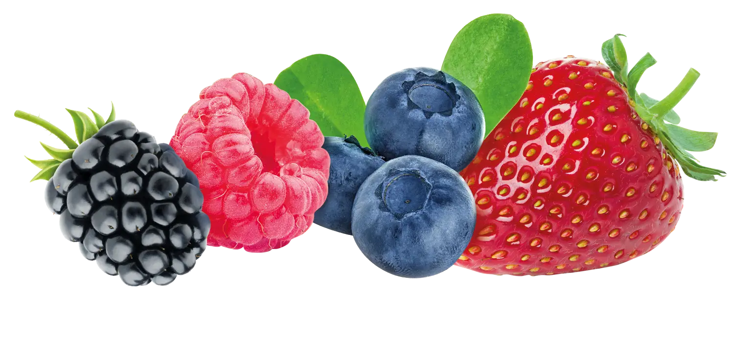 Assortment of Fresh Berries