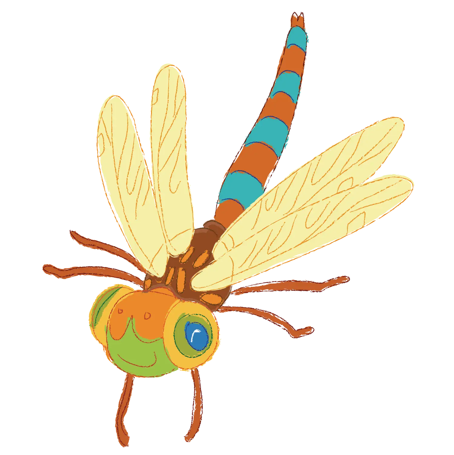 Colorful Dragonfly Illustration
