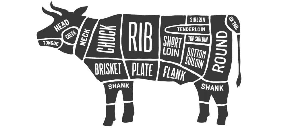 Beef Cuts Diagram for Culinary Use
