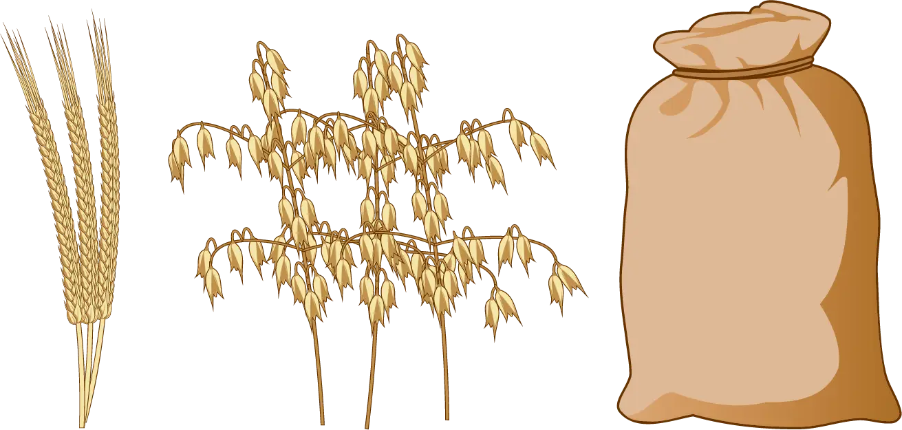 Grains and Sack for Harvest Season