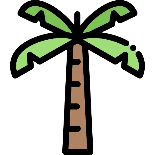 Cartoon Palm Tree Drawing