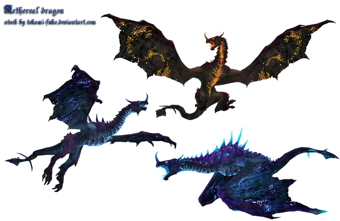 Mythical Dragons Illustration