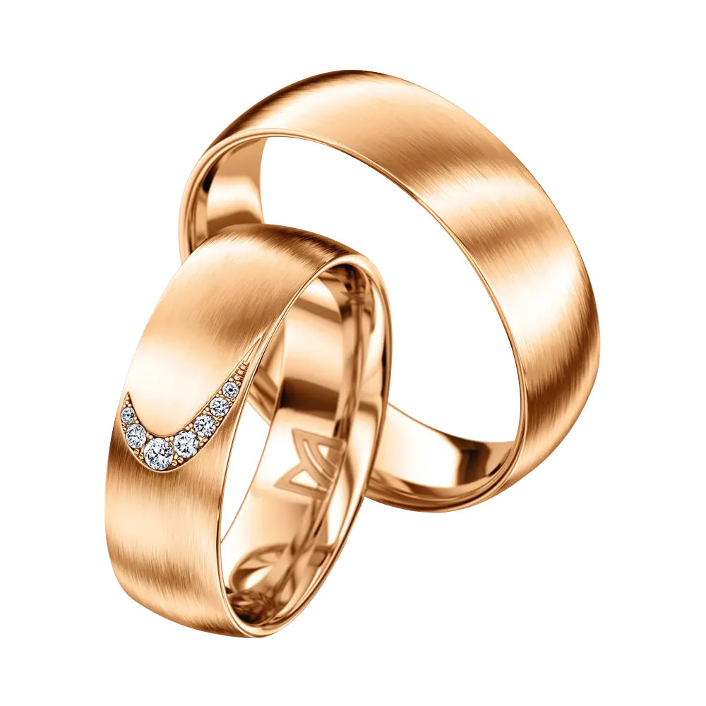Pair of Elegant Golden Wedding Rings