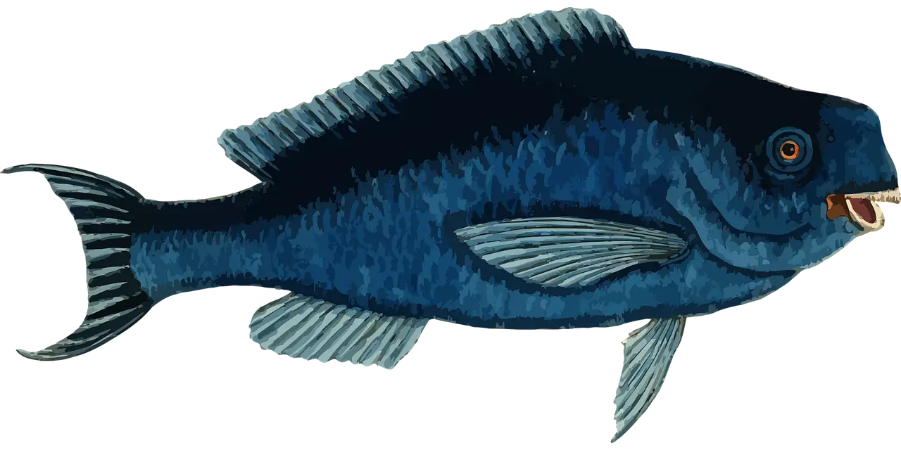 Blue Fish Aquatic Illustration