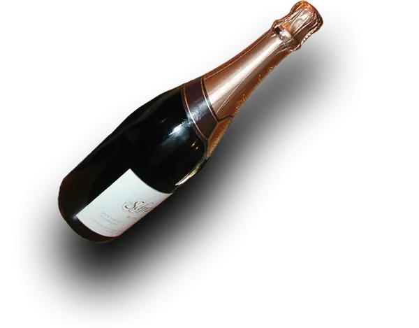 Champagne Bottle
