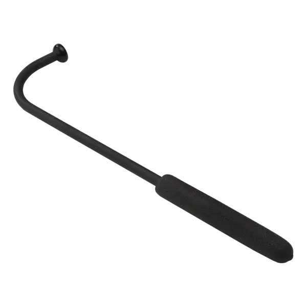 Assistive Dressing Stick for Mobility