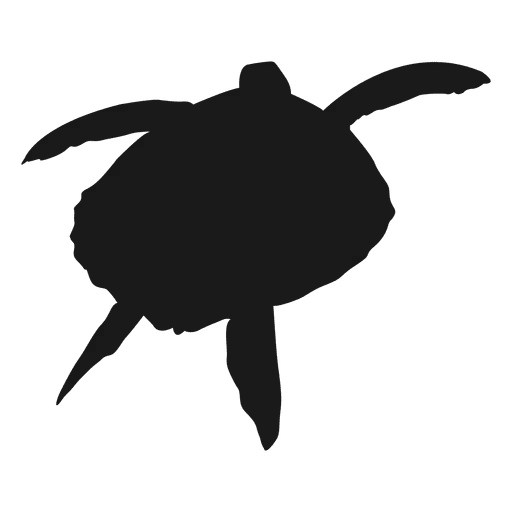 Turtle Silhouette in Marine Environment