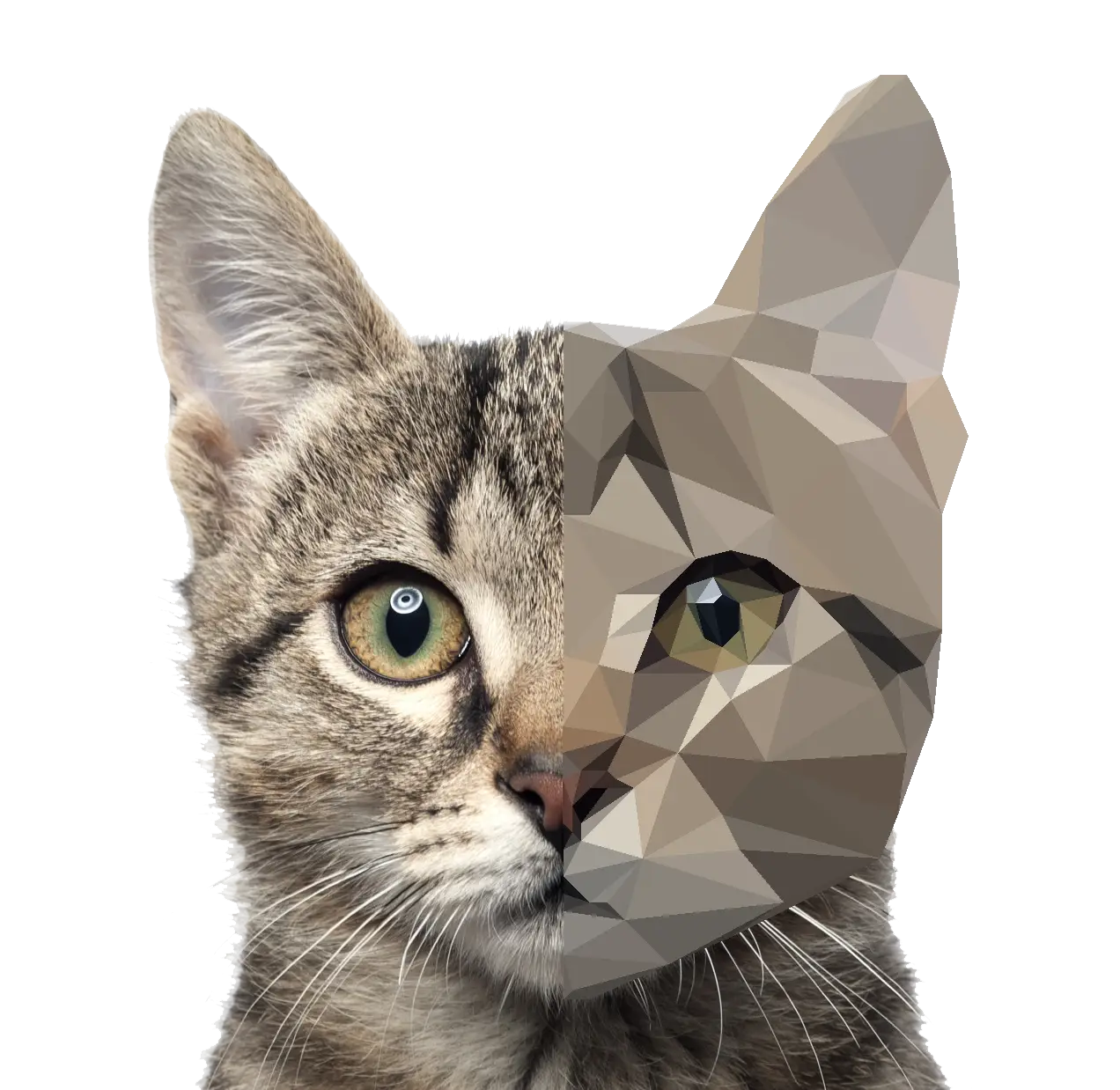 Polygonal Artistic Cat Design