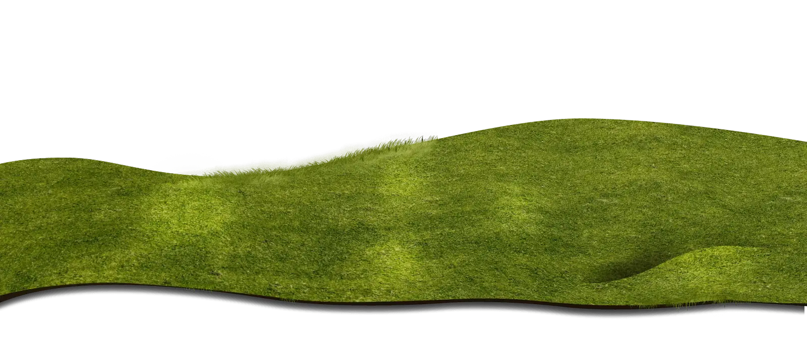Green Grass Field