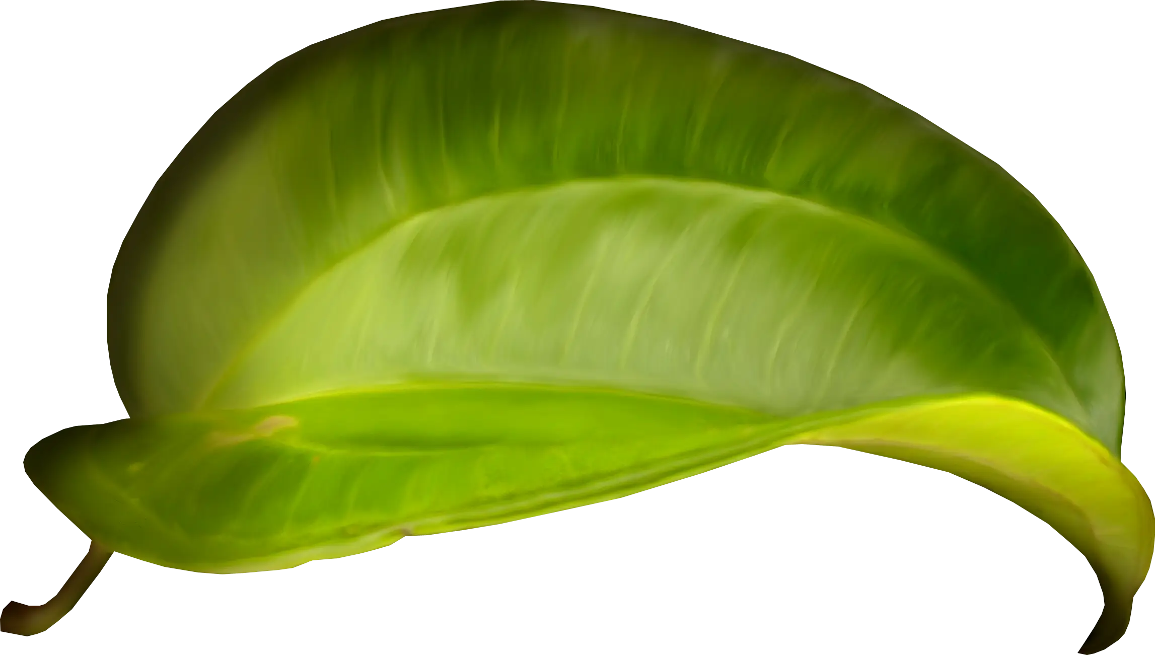 Bright Green Leaf Illustration