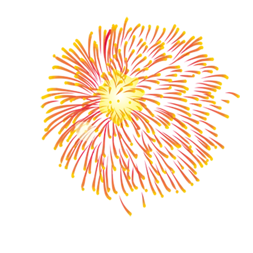 Colorful Firework Explosion