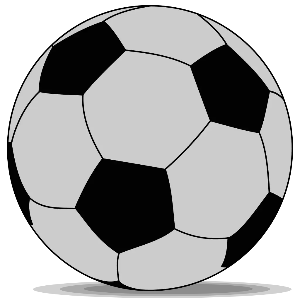 Black and White Soccer Ball