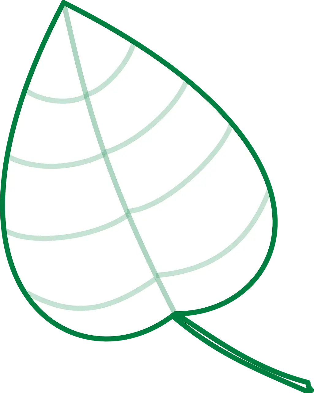 Green Leaf Drawing Illustration