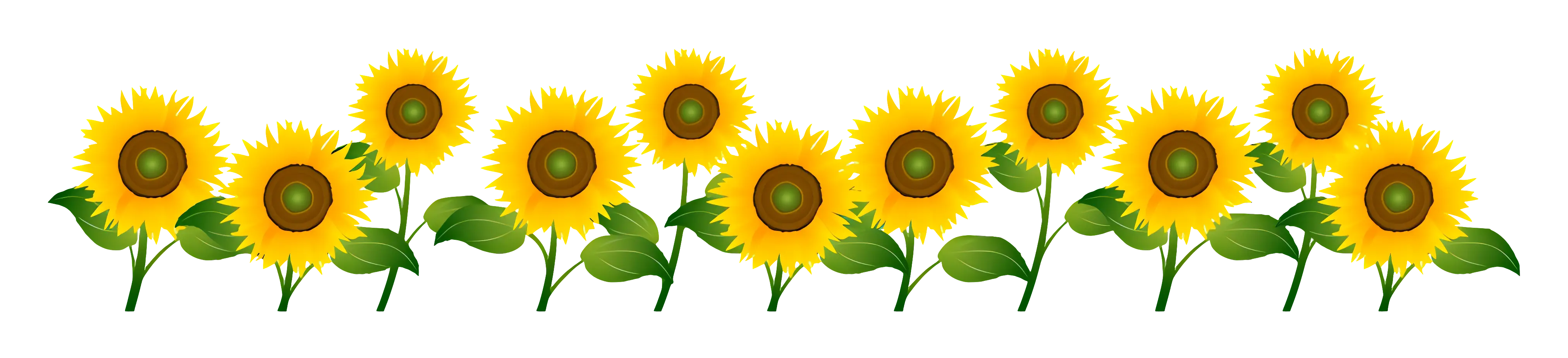 Row of Bright Yellow Sunflowers with Green Leaves