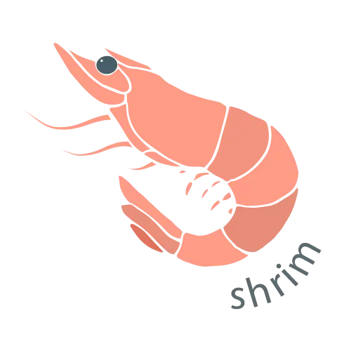Shrimp Illustration