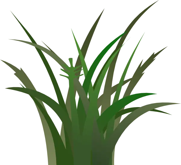 Green Blades of Grass Illustration