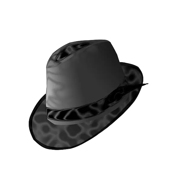 Black Fedora Hat