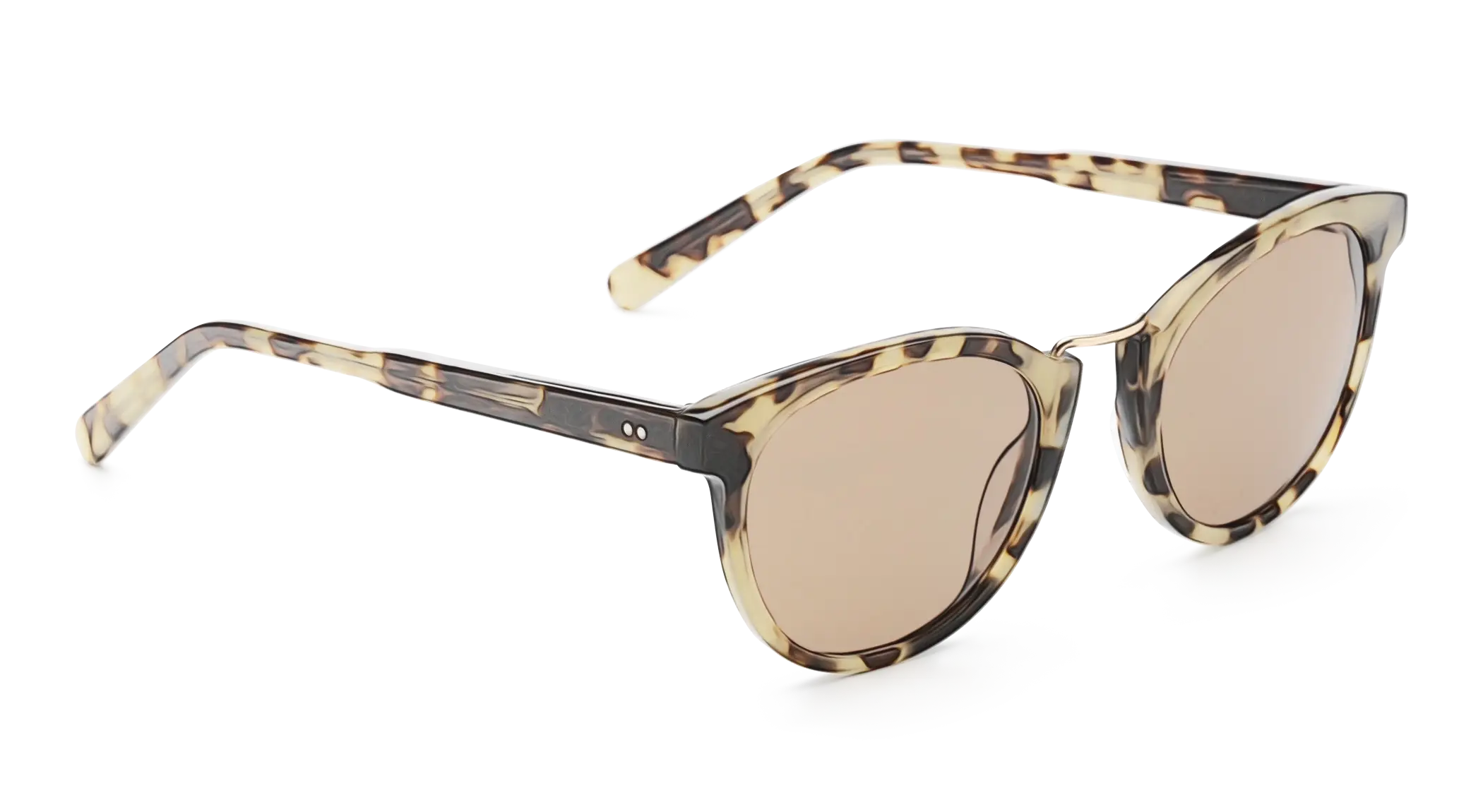 Trendy Tortoiseshell Pattern Sunglasses