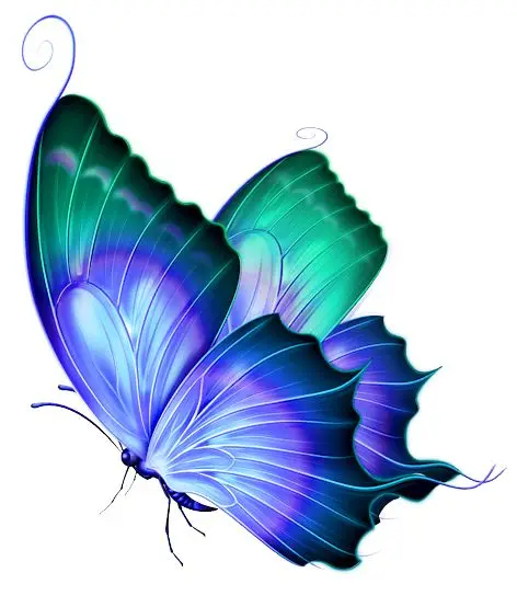 Blue and Purple Butterfly