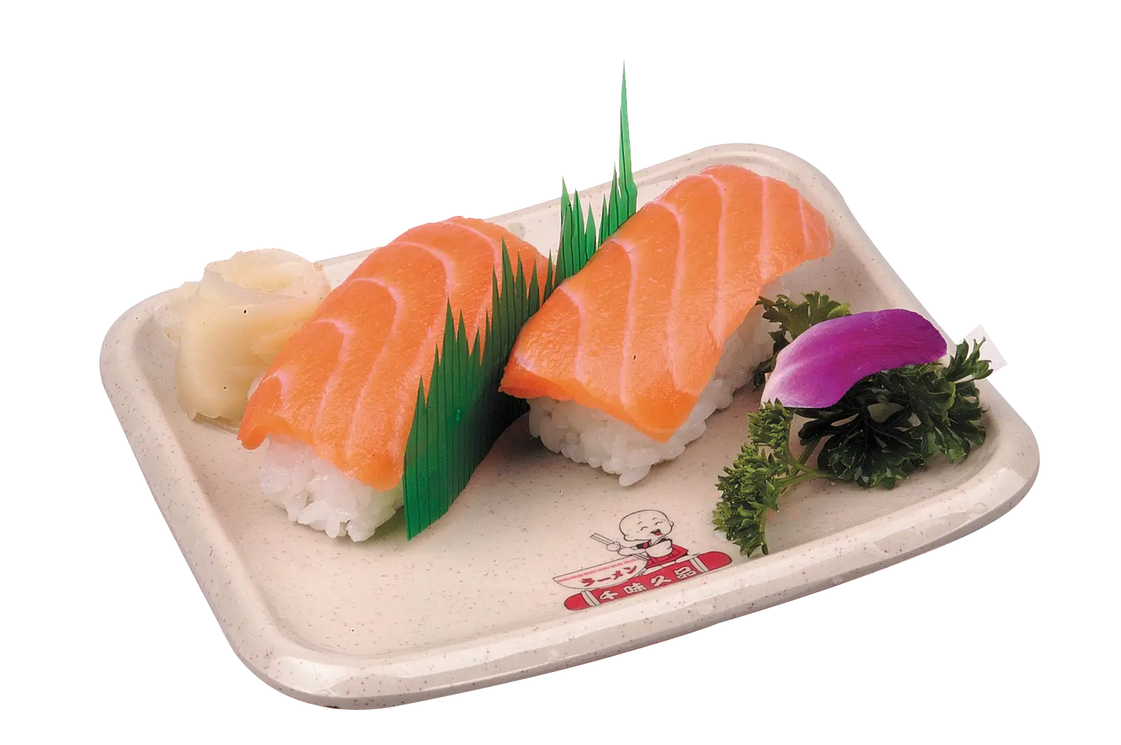 Salmon Nigiri Sushi on Plate Illustration