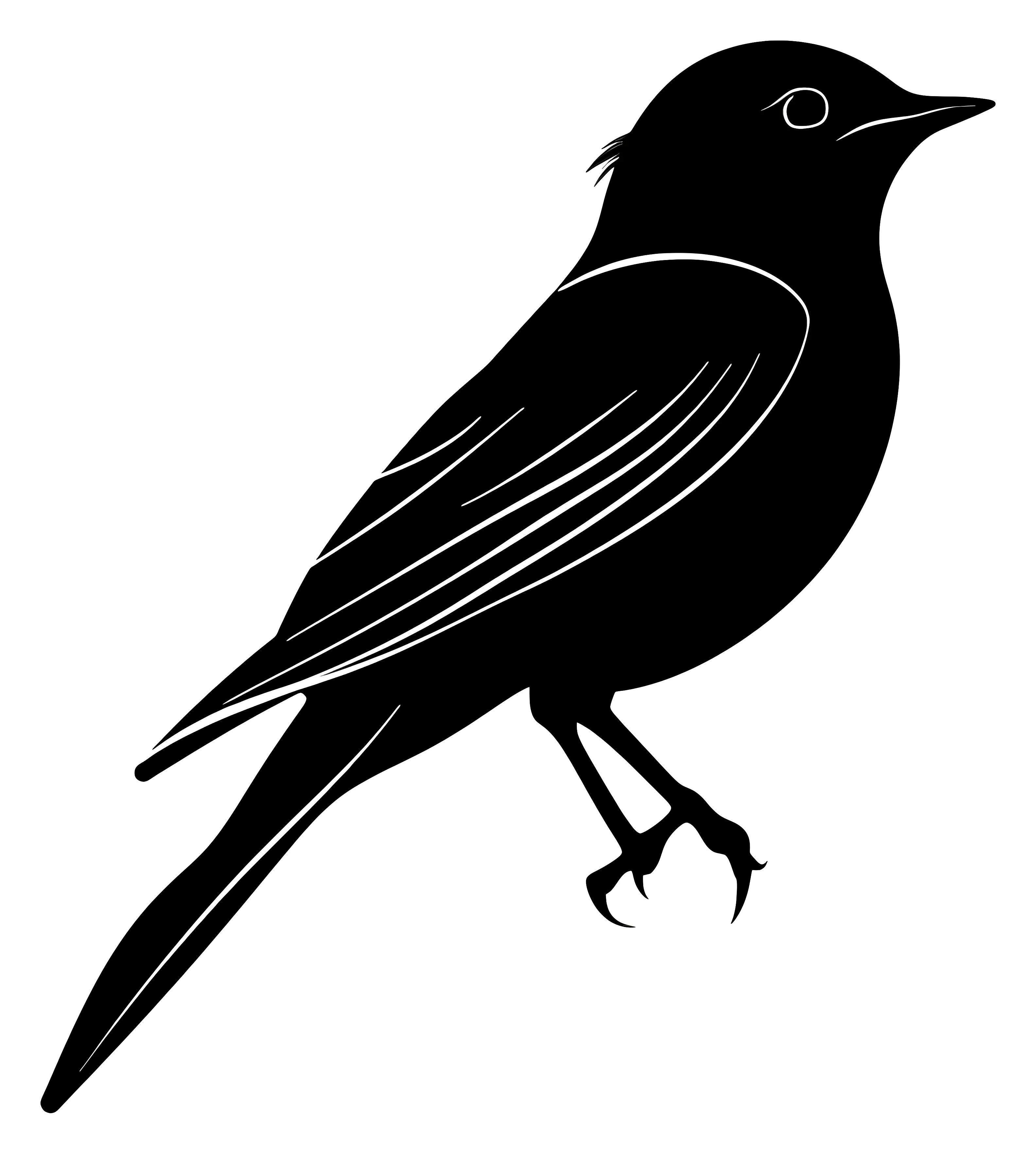 Bird Silhouette Art in Black