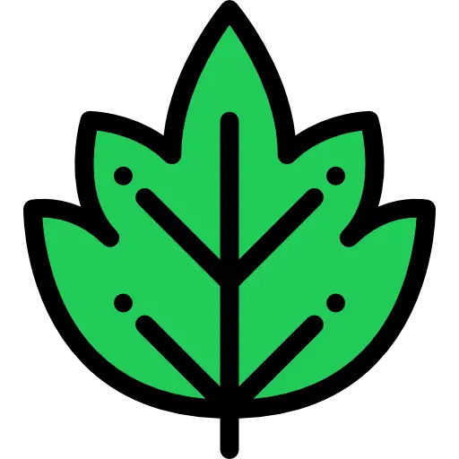 Simple Green Leaf Icon
