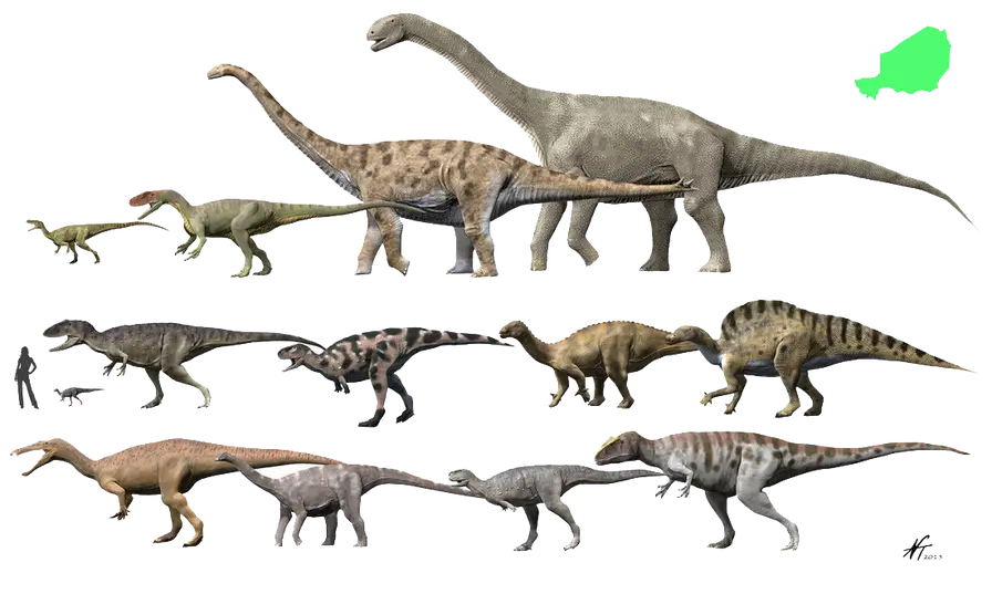 Illustration of Various Dinosaur Species