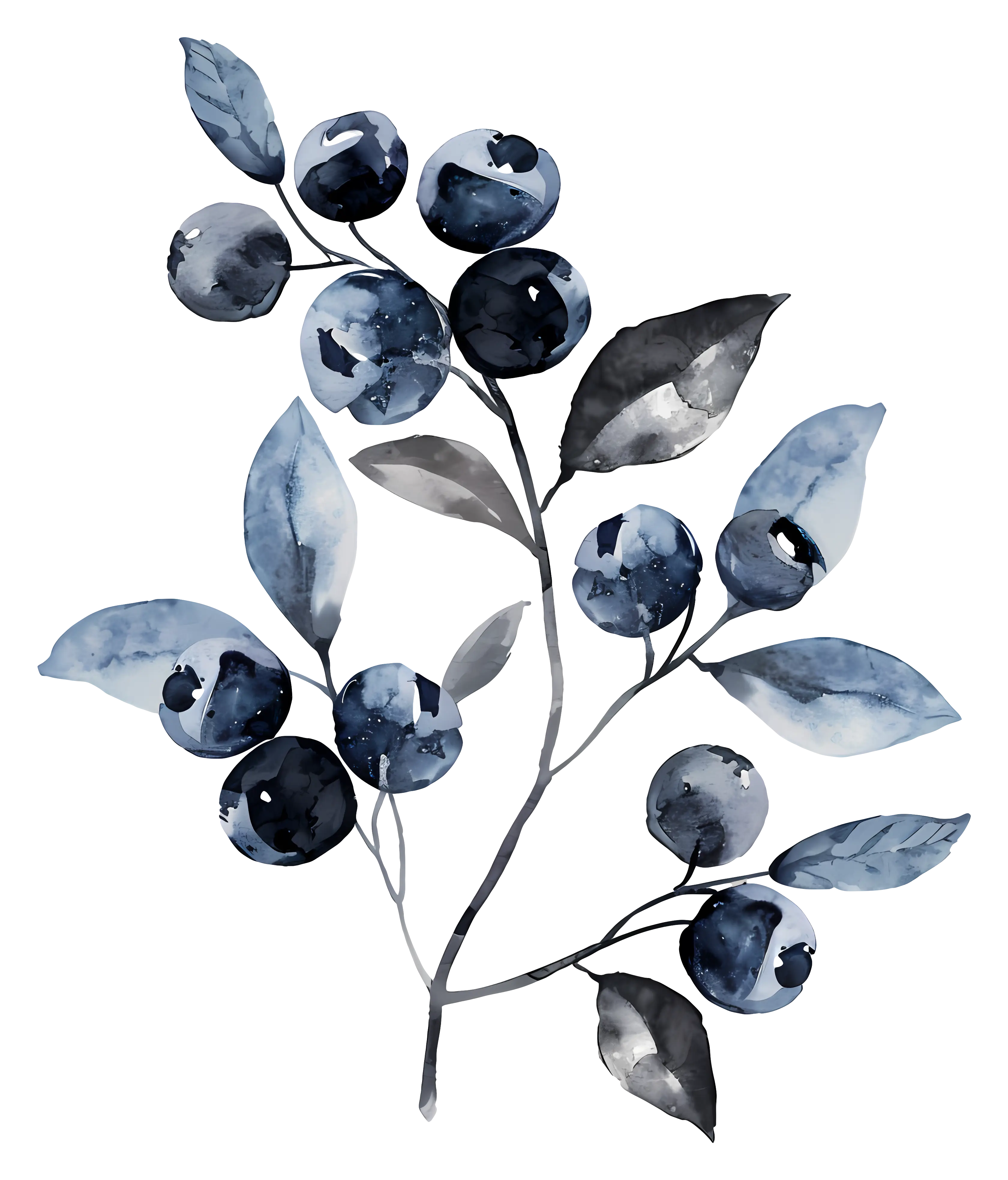 Blueberry Branch Watercolor Painting
