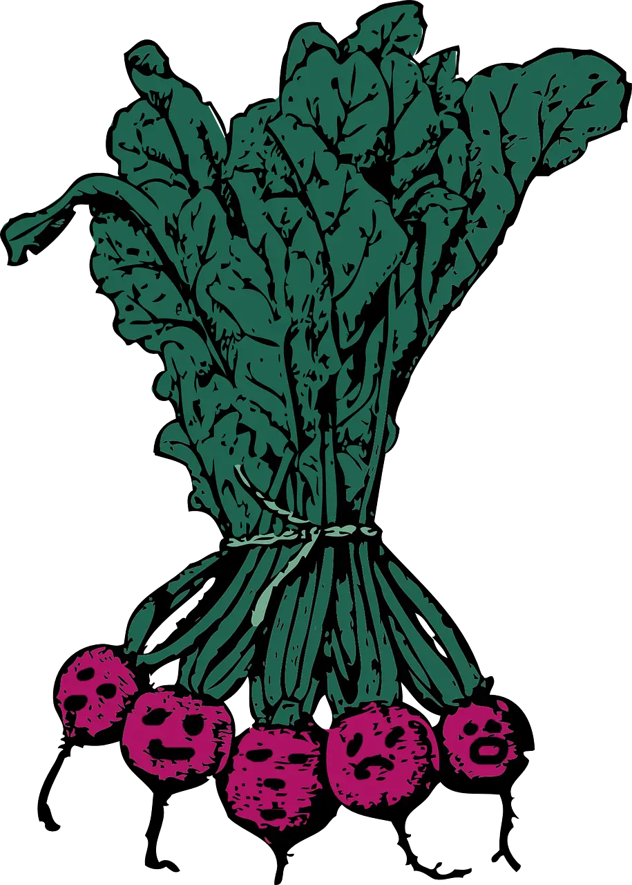 Radishes with Green Tops